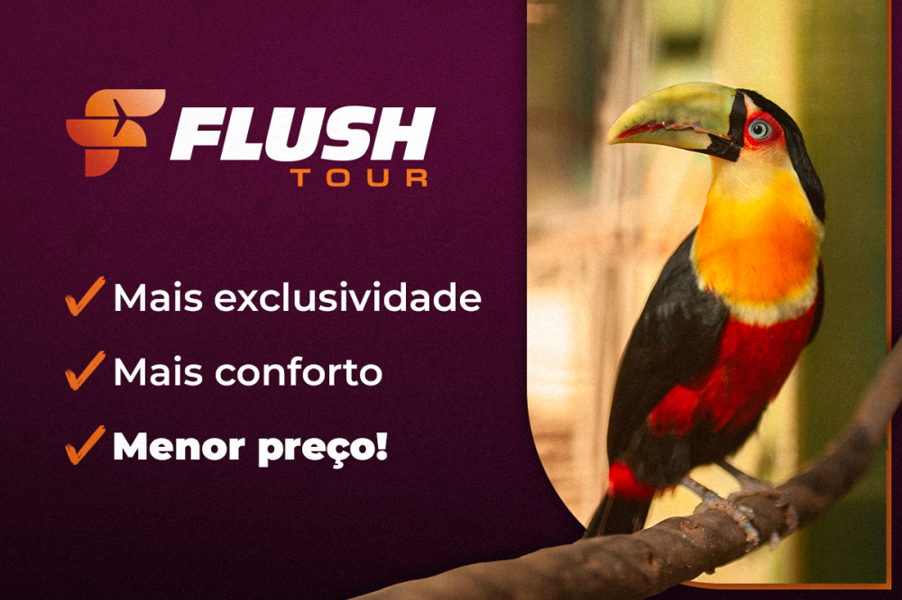 Flush Tour está com prêmios imperdíveis para o BSOP Foz do Iguaçu