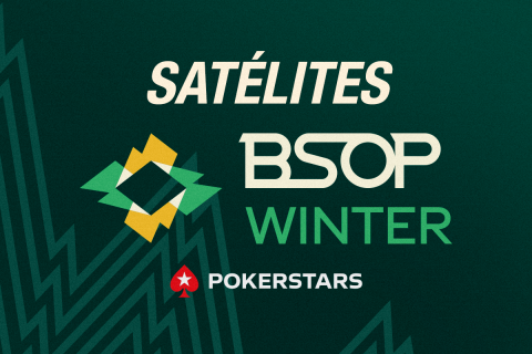SATÉLITES WINTER