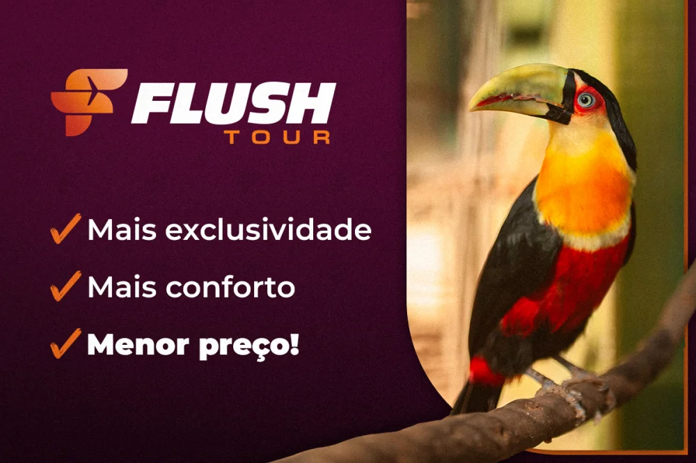 Flush Tour está com prêmios imperdíveis para o BSOP Foz do Iguaçu