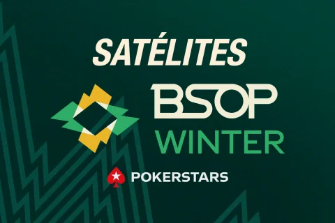 SATÉLITES WINTER